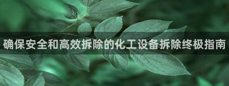 新城平台登录入口官网网址