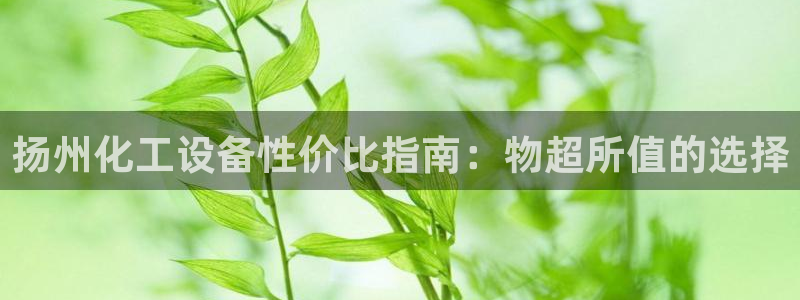 新城平台登录入口官网查询网址