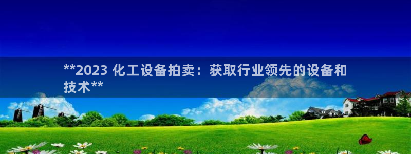 新城平台平台最新活动消息：**2023 化工设备拍