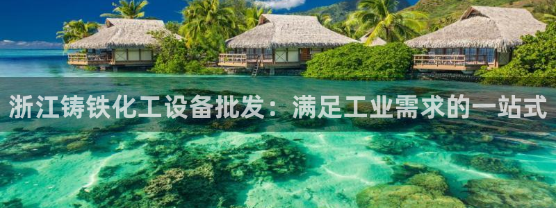 新城平台登录入口官网首页：浙江铸铁化工设备批发：满足工业需求